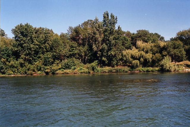Calf Island Coastline at Detroit River International Wildlife Refuge Picture