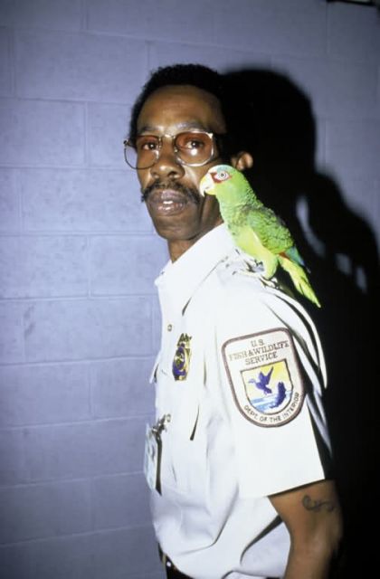 FWS Employee with Parrot Picture