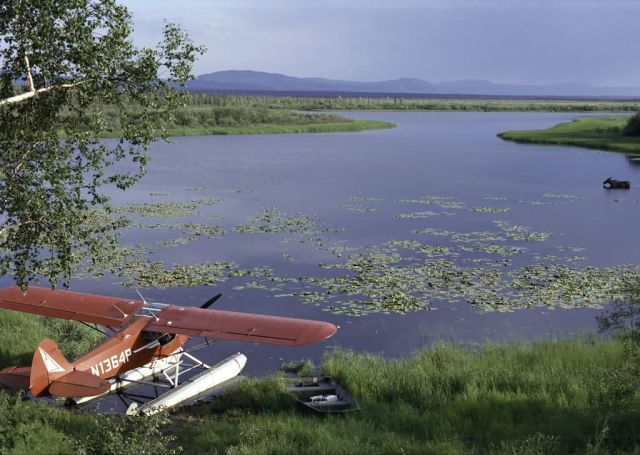 Kanuti National Wildlife Refuge, Alaska Picture