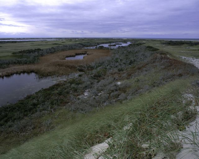 Monomoy National Wildlife Refuge Picture
