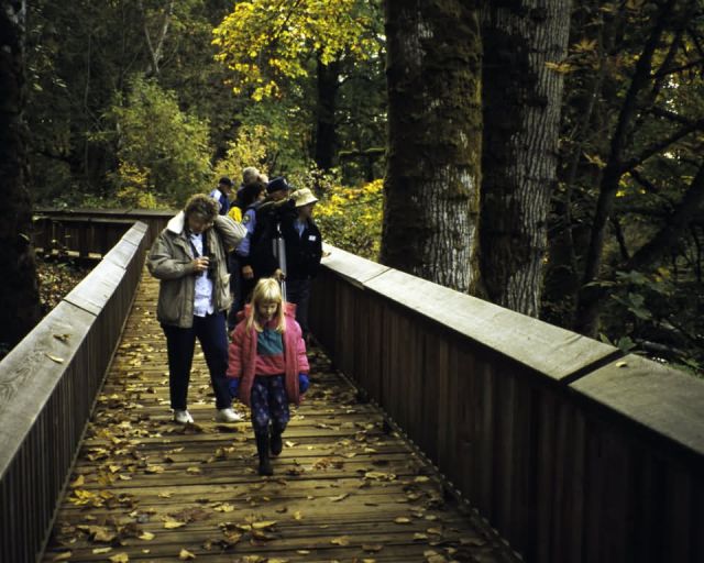 Nisqually National Wildlife Refuge Picture
