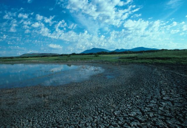 Lower Klamath National Wildlife Refuge Picture