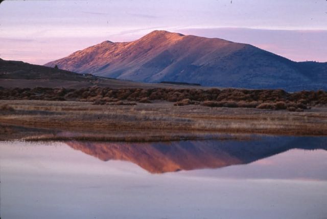 Lower Klamath National Wildlife Refuge Picture