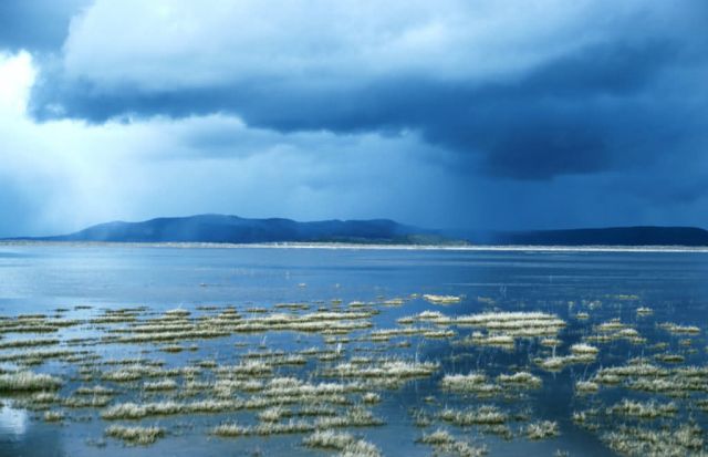 Lower Klamath NWR, Oregon Picture