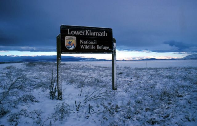Lower Klamath National Wildlife Refuge Picture