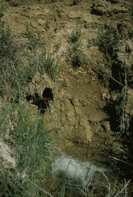 Sewage Run Off Picture