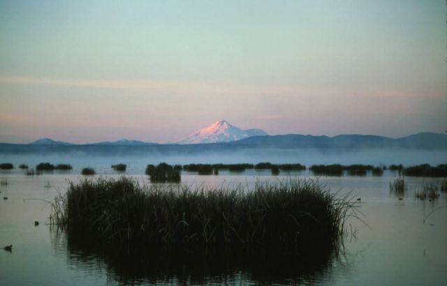 Lower Klamath National Wildlife Refuge Picture
