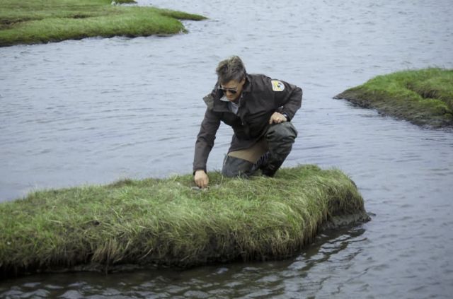 FWS Employee at Yukon Delta NWR Picture