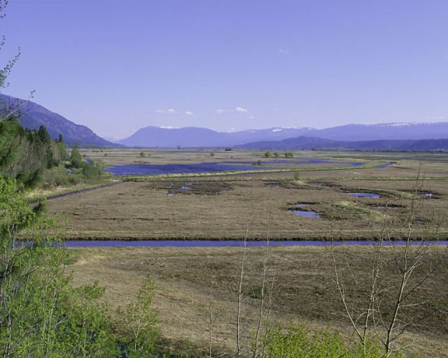 Kootenai National Wildlife Refuge, Idaho Picture