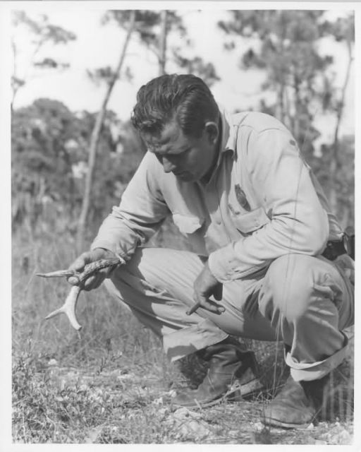 Jack Watson Examines Key Deer Antler Picture