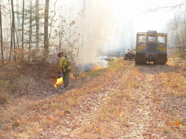 Prescribed burn at Chesapeake Marshlands National Wildlife Refuge Complex Picture