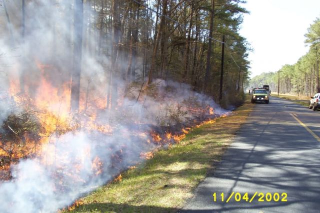 Prescribed Burn at Chesapeake Marshlands National Wildlife Refuge Complex Picture