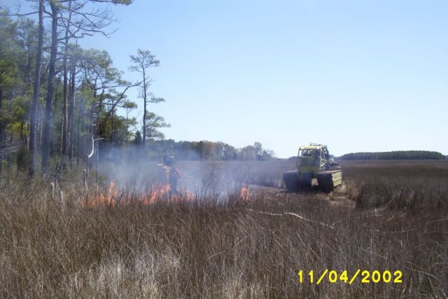 Prescribed Burn at Chesapeake Marshlands National Wildlife Refuge Complex Picture