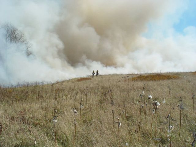 Prescribed burn at Canaan Valley National Wildlife Refuge Picture