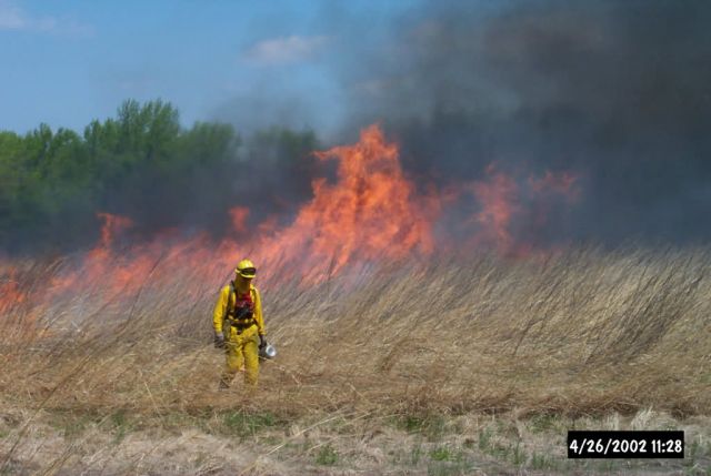 Grassland burning at Bombay Hook National Wildlife Refuge Picture