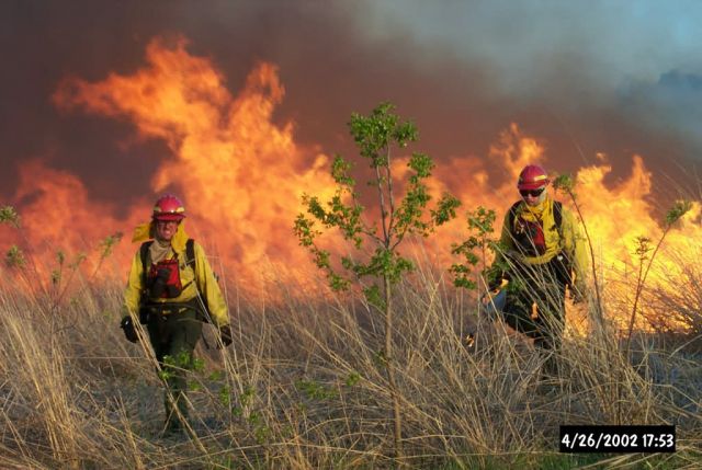 Grassland burning at Bombay Hook National Wildlife Refuge Picture
