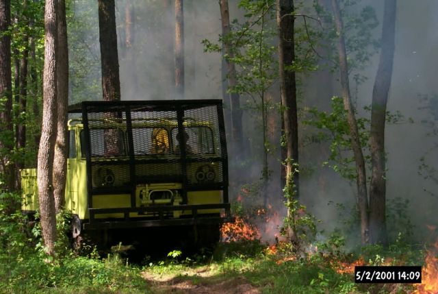 Pine understory burning with Flextrac engine at Great Dismal Swamp National Wildlife Refuge Picture