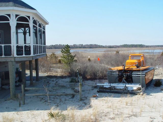 Phragmites burning at Prime Hook National Wildlife Refuge Picture