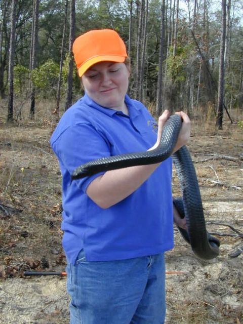 Erin Clark, R4 Fish and Wildlife Biologist with Eastern indigo snake (Drymarchon corais couperi) Picture