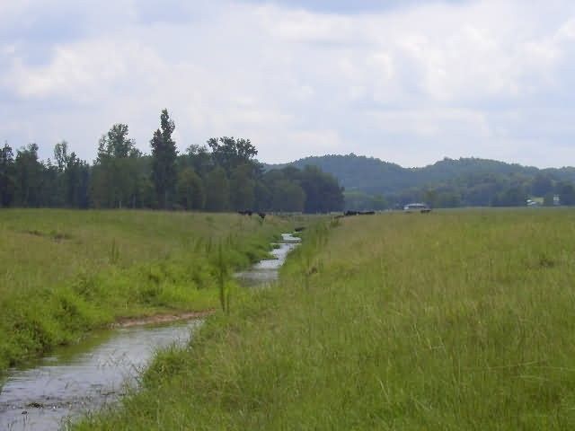 Channelized, straightened stream channel, Georgia Picture