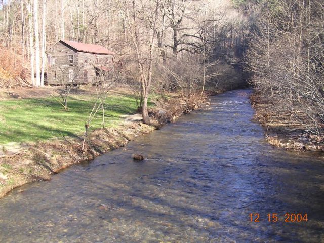 Blue shiner habitat/stream, Georgia Picture