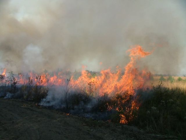 Prescribed Burning Picture