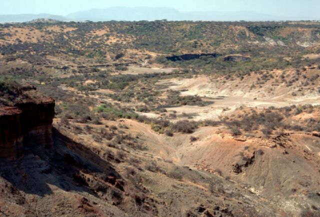 Oldavai Gorge Picture