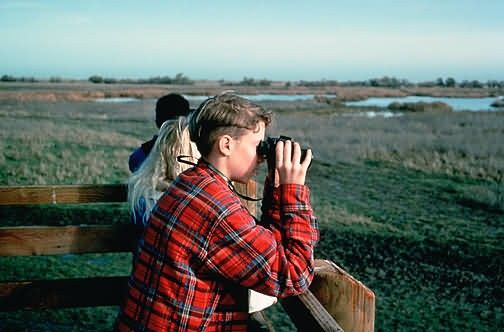 Class Tour at San Luis National Wildlife Refuge Picture