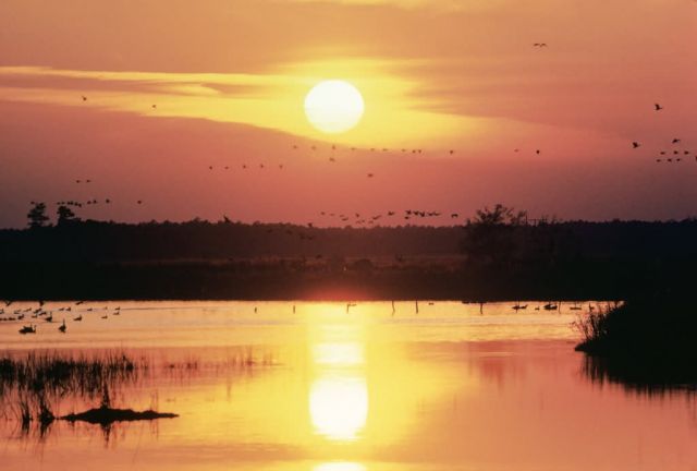 WO1655 Sunset at Blackwater NWR Picture