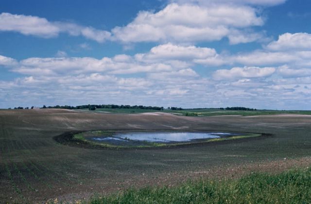 W0257 Agricultural Impact Picture