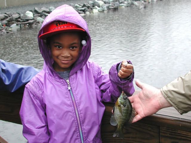 WOE79 Area urban youth enjoy fishing oportunities provided by FWS at Patuxent Wildlife Research Refuge Picture