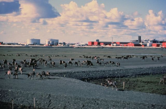 WO4441 Prudhoe Bay, Alaska Picture