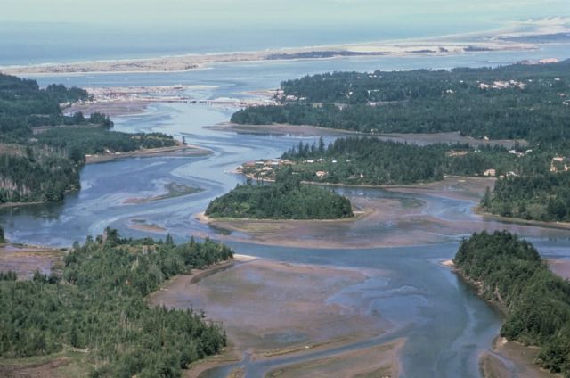 WO4745 Wetland, South Slough Coos Bay, OR Picture