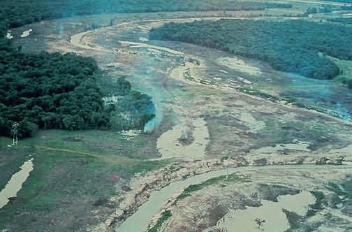 WO4331 Clearing Bottomland Hardwood Picture