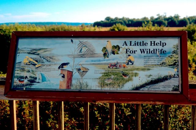 Interpretive Sign Picture