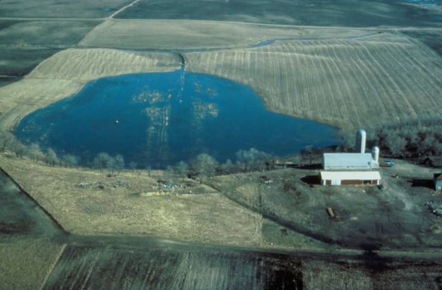 After wetland restored Picture
