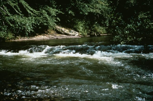 WO8366 River Habitat Picture