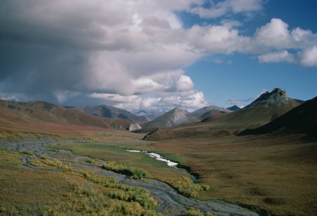 WO5176 Arctic NWR Picture