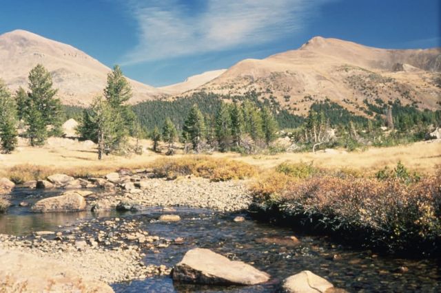 WO3717 Yosemite National Park Picture