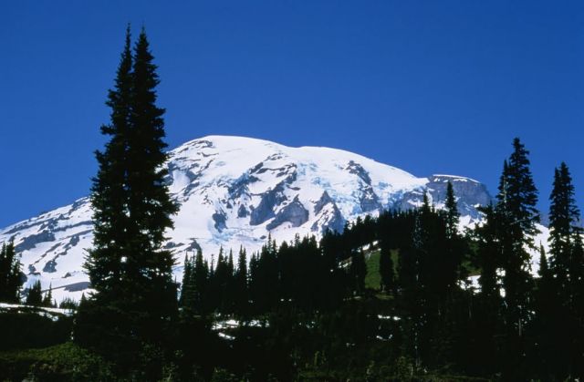 WO8159 Mt. Rainier National Park Picture