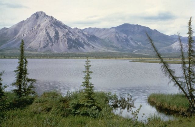 WO5174 Last Lake along Sheenjek, Arctic NWR Picture