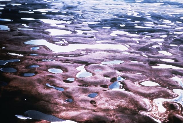 WO1576 Aerial View of Prairie Potholes Picture