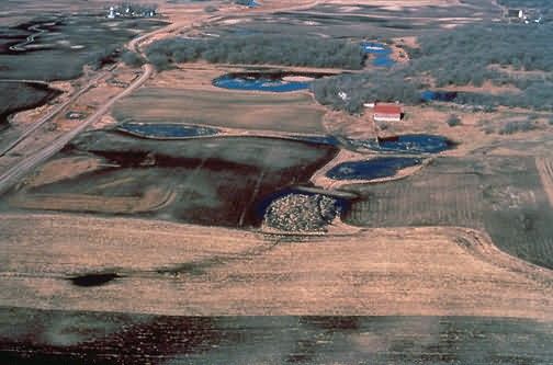 WO 935 Restored Wetlands Picture