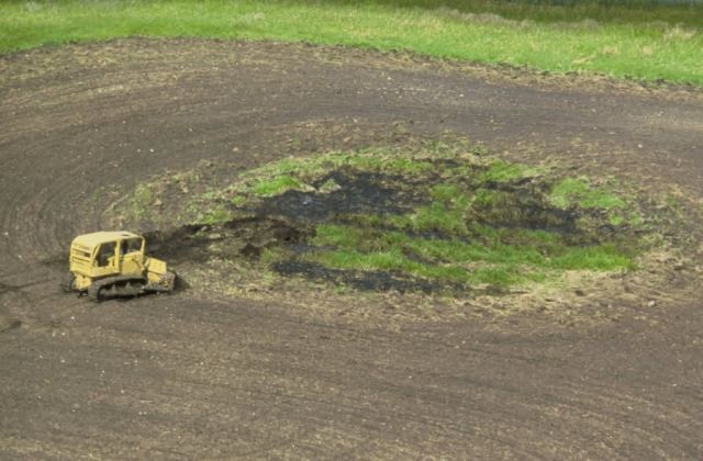 Draining Wetland Picture