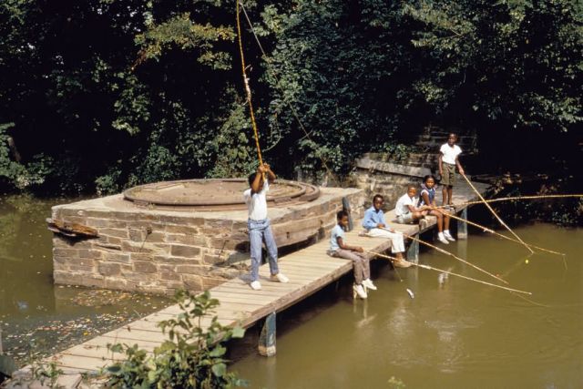 Urban Fishing Picture