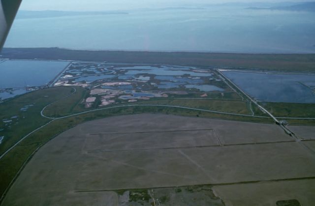 WO8713 San Pablo Bay NWR Picture