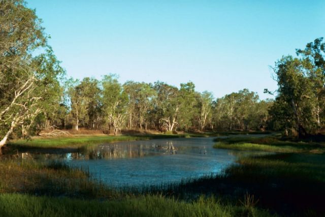 Billabong Picture
