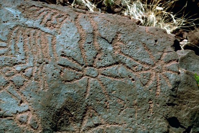 Piro Indian petroglyphs Picture