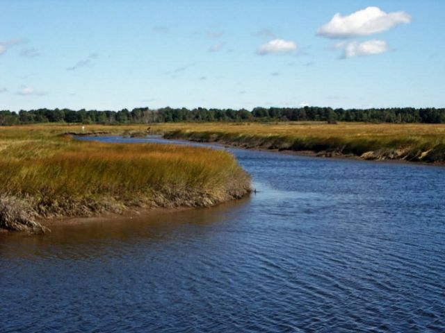 WOE171 Scarborough Marsh (saltwater) Maine Picture