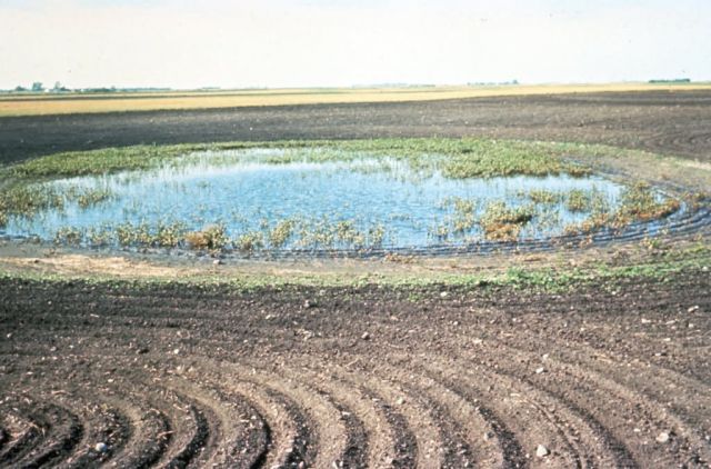 WO3299 Farming Affecting Wetland Picture